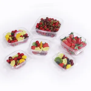 ISO22000 food grade factory wholesale plastic packing sushi box biscuit tray container salad box packaging with lid