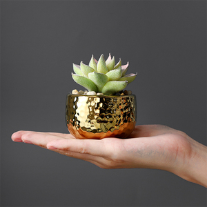 Mini <span class=keywords><strong>Piante</strong></span> <span class=keywords><strong>Grasse</strong></span> Artificiali <span class=keywords><strong>in</strong></span> <span class=keywords><strong>Vaso</strong></span> per Decorazione Ufficio Casa <span class=keywords><strong>Giardino</strong></span> Bonsai - Product Image 4