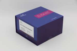 Réactif d'extraction d'ARN total identique avec Trizol Hot Selling avec de nombreuses publications - Product Image 4