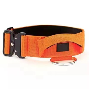 맞춤형 로고 멀티 컬러 조정 가능한 야외 훈련 애완 동물 2 인치 나일론 중장비 개 목걸이 - Product Image 4