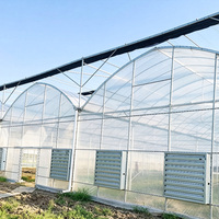 Serre multi-travées en polycarbonate avec structure en acier galvanisé à chaud, résistante aux UV, pour la culture de légumes et de fleurs