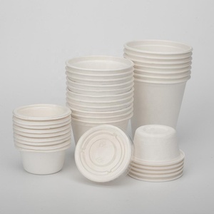 Biodegradable Disposable Sugarcane Bagasse Pulp Molding Coffee Packaging Ice Cream Cups With Lid
