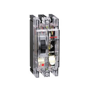 Disjoncteur hydraulique Delixi monophasé 2P transparent 100A/63A type DZ15-100T/2901 - Product Image 2