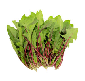 도매 대량 식품 천연 신선한 붉은 시금치 분말 수용성 비타민 추출물 드럼 도매 대량 붉은 시금치 추출물 - Product Image 3