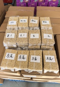 Nouvel arrivage : Graines de pin crues biologiques, sac sous vide de 25 kg, approvisionnement en vrac - Product Image 2