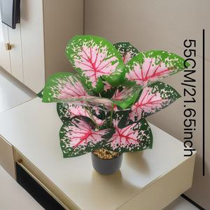 โรงงานเทียม <span class=keywords><strong>Caladium</strong></span> <span class=keywords><strong>Bicolor</strong></span> 12 18 24ใบพืชเทียมสีสดใสสำหรับตกแต่งห้องนั่งเล่นสำนักงาน - Product Image 1
