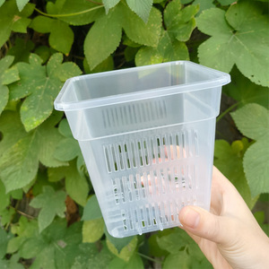 Vaso quadrato ispessito in plastica traspirante vaso di controllo Phalaenopsis cestello per piantare orchidee piante verdi cesto idroponico - Product Image 6