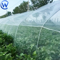 Filet anti-insectes agricole, filet anti-insectes pour arbres, filet anti-insectes transparent fin 2,4 m x 2,4 m pour serre