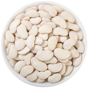 Frijoles Blancos Puros, Antioxidantes, Estabilizan el Azúcar en la Sangre, Salud Digestiva, Materia Prima para Cocinar, Suministro OEM a Granel - Product Image 1