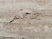 Dalles de travertin naturel d'Italie, marbre romain poli beige jaune blanc pour carrelage mural et sol, carrelage en marbre