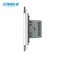 Interruptor Inteligente LIVOLO Estándar del Reino Unido de 2 Botones, Compatible con Alexa y Siri, UE 10A 250V, Panel de Vidrio, Interruptor Eléctrico de Pared