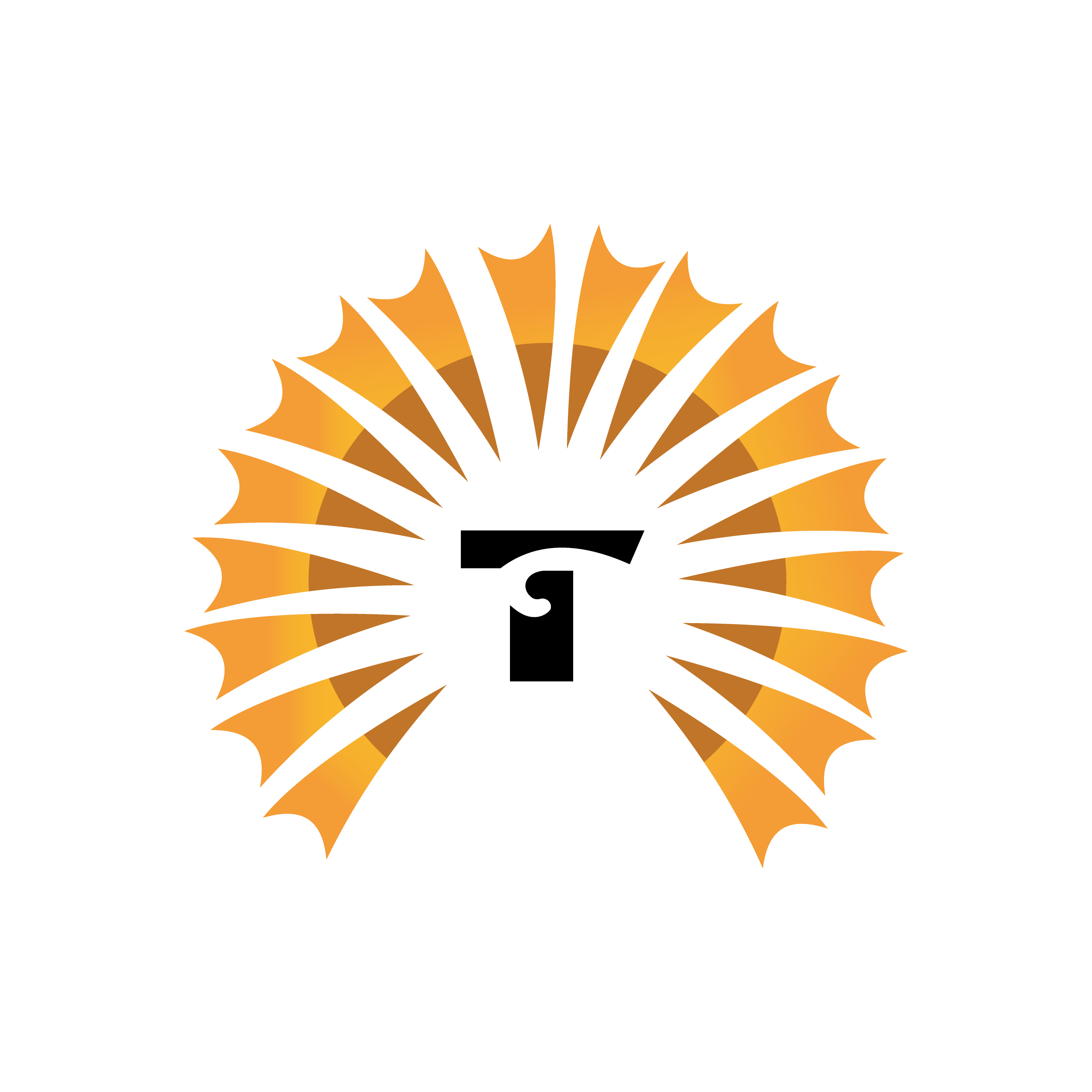 Zibo Taixing Thread & Yarn Industry Co., Ltd. logo