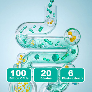 Vente en gros usine : Complément alimentaire probiotique pour hommes, Lactobacillus Fermentum, qualité alimentaire, soutient la digestion et la santé cérébrale - Product Image 5