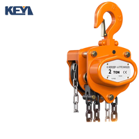 Palans à chaîne en acier inoxydable, capacité de levage de 6 mètres, certifiés CE, protection IP54, assemblage rapide, utilisation en construction