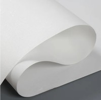 Rouleaux de papier peint en PVC imprimable, habituellement vierges, revêtement PE double face aseptique sans amiante, jetables et recyclables
