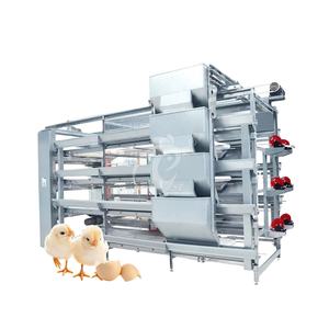 Çin bebek civciv kafes çiftlik H tipi Pullet Coop galvanizli yüzey işleme ahşap Pullet Coop - Product Image 1