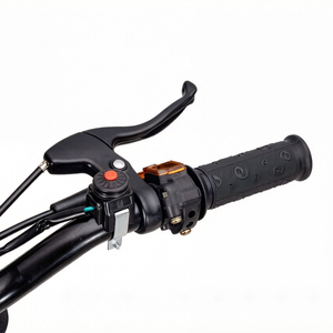 Nouvelle Moto de Poche à Essence Mini Dirt 1.6NM 1.2kw, Démarrage Électrique, 40km/h, Moteur Puissant 1.6NM de Couple pour l'Aventure - Product Image 4