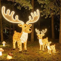 Décoration de lanternes personnalisées de grande taille pour parcs d'attractions, pour une utilisation en intérieur/extérieur, spectacle de lumière pour parcs à thème, Noël