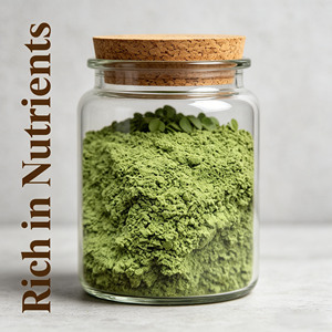Pure Natural Plant-Based Premium Superfood Organic <strong>Moringa</strong> Leaf Powder Non-GMO <strong>Bulk</strong> Supplier for Food &amp; Beverage <strong>Bulk</strong> Packaging - Product Image 2