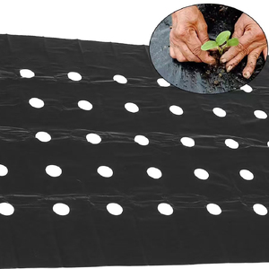 Cubierta de suelo de aislamiento térmico perforado de película agrícola de PE para retención de humedad del suelo y regulación de temperatura - Product Image 4