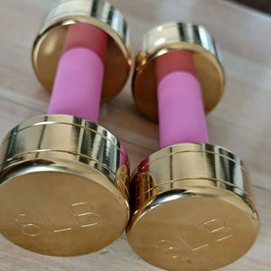 For <strong>Women</strong> and Kids Round Golden Steel <strong>Dumbbell</strong> <strong>Sets</strong> 1kg 2kg 3kg Colorful Foam Handle Cover - Product Image 2