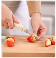 Roestvrijstalen Gebruiksvoorwerp Sets, Opener, Dunschiller, Schaar, Garde, Schilmesje 6 Stuks Keuken Gadget Set Met Opslag
