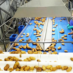 L Vorm Hellende Geweigerde Transportband Gespleten Sanitaire Washdown Band Transportband Voor Voedingsindustrie - Product Image 6