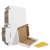 Cajas de Embalaje de Cartón Corrugado Plegables con Impresión de Logotipo Personalizado, Cajas de Regalo para Envíos Seguros