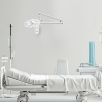 Lampe chirurgicale murale 70000 Lux LED sans ombre pour hôpital vétérinaire, clinique vétérinaire, éclairage d'examen médical