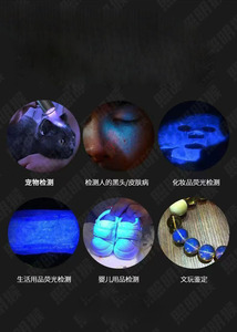 Digitale display UV-zaklamp Draagbare voedselveiligheidsdetector voor <span class=keywords><strong>Bordeaux</strong></span>-mengsels en groenten - Product Image 5