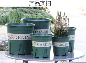 Root Flower Pot Garden Supplies Planting Basin <b>Planters</b> - Product Image 2