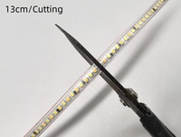 Bande LED néon AC220V, lumière linéaire, CCT double couleur, trois couleurs, super lumineuse, SMD2835, blanc chaud, blanc pur, bleu, 192 LED, IP20, IP65, OEM