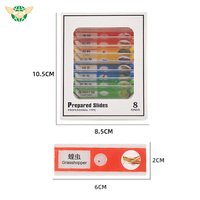 8pcs/Set Kids Plastic Prepared Microscope Slides Biological Animals Specimen Plants Insects Flowers Sample Accessories