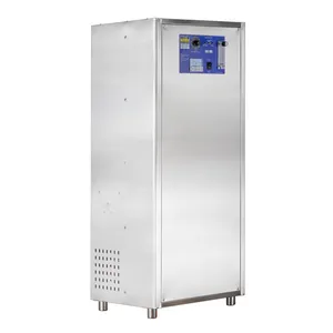 BNP SOZ-YOB-30G-C 4-6L industriale integrato generatore di ozono o3 integrato di ossigeno fonte di aria filtro essiccatore per sistema di purificazione