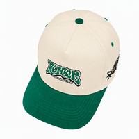 Gorra de Béisbol Personalizada de Lona de Algodón con 5 Paneles, Visera Verde, Bordado, Ajustable, Unisex, Estilo Urbano, Venta al por Mayor, OEM, ODM