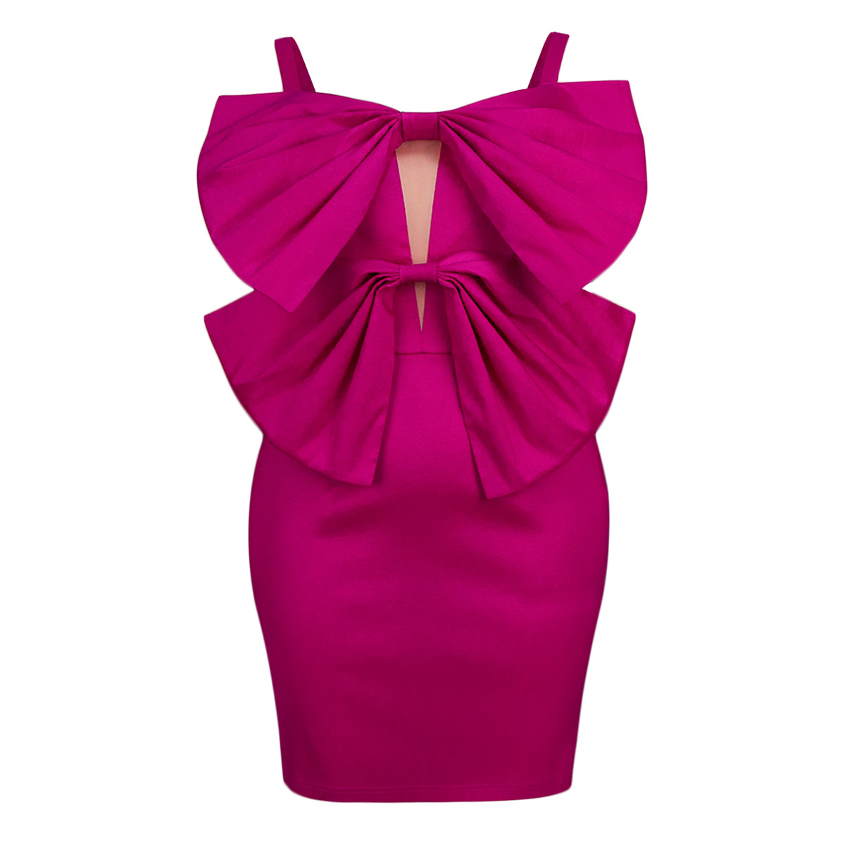 YAM040430 rose red