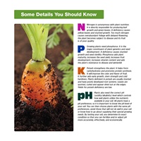 Kit de test de sol pour détection de substances dans le jardin, solution de test du pH, des nitrates, du phosphate (PO4) et du potassium