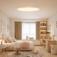 Lámpara de Techo LED Delgada Ovalada de ABS y PC con Temperatura de Luz Constante para Habitaciones de Hotel e Iluminación Interior