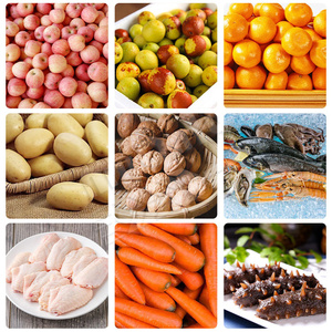 MYONLY Auto Olive Papaya Mariscos <span class=keywords><strong>Caracol</strong></span> Cangrejo <span class=keywords><strong>vivo</strong></span> Clasificación de peso Máquina Niveladora de frutas y verduras - Product Image 6