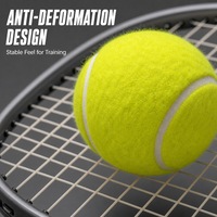 Entraîneur de tennis solo avec cordon élastique pour balle de tennis, idéal pour l'entraînement des débutants
