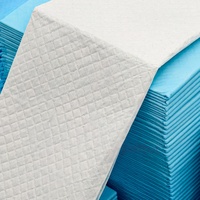Fournisseur de tapis d'apprentissage pour animaux de compagnie super absorbants et imperméables de haute qualité en gros – Tapis de propreté pour chiens et chiots, couches pour animaux pour l'apprentissage à la propreté à la maison