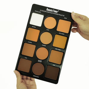 外贸出口12色矿物防水粉妆轮廓调色板遮瑕膏荧光笔提亮3D - Product Image 3