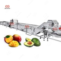 Gelgoog Reinigingsapparatuur voor vers fruit en groenten, fruit- en groentenrollerborstel reinigingsmachine
