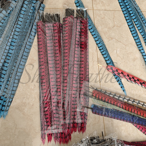 Plumes de faisan artificielles teintes bon marché Lady Amherst Plumas de plumes de queue de faisan pour la décoration de costumes de carnaval - Product Image 3