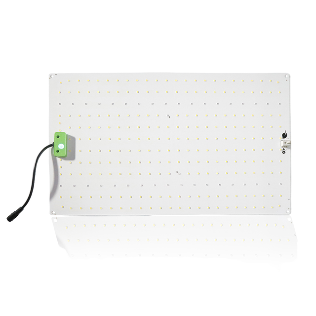Customized 120W Plate Full Spectrum LED Grow Light for LM281B Aluminum PCB IP55 Rated 5-Year Warranty for Bloom