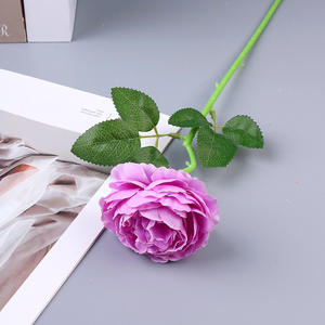 Ramo de Novia SPR, Ramo Chino de Hortensias de Seda, Suministros para Bodas, Jarrones Colgantes de Glicinia, Centros de Mesa Decorativos de Flores de Color Marfil - Product Image 5