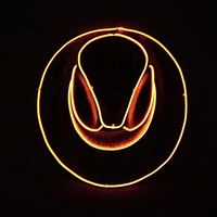 Chapeau de cowboy lumineux de luxe pour Halloween, Noël, fête costumée, déguisement, avec lumières