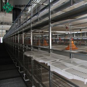 Pulcini da carne di un giorno dell'allevamento di polli di pollame ad alta efficienza di migliore qualità a basso prezzo <span class=keywords><strong>in</strong></span> <span class=keywords><strong>vendita</strong></span> - Product Image 2