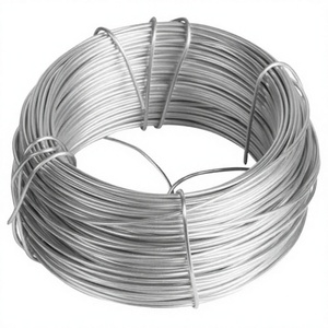 Fil d'armature ASTM B498 en acier galvanisé à chaud pour la construction, coupe et pliage faciles - Product Image 1