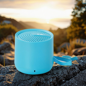 Tùy Chỉnh Xách Tay Mini Loa Không Dây To Nhất Corneta Cho Bluetooth Loa Cho Nhà Theatre Bên USB Sân Khấu Điện Thoại Di Động - Product Image 3